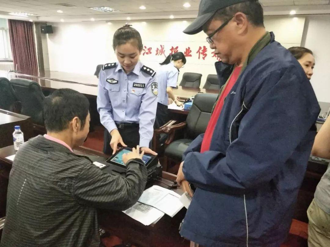 问羊知马是什么生肖，全面释义、详细解答解释落实
